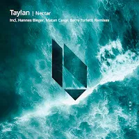 Taylan — Nectar — обложка